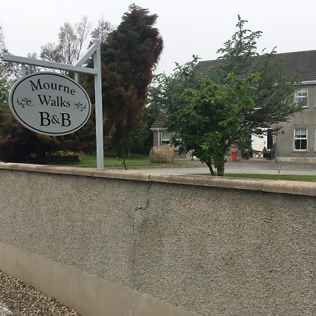 Mourne Walks B & B Annalong Exteriör bild